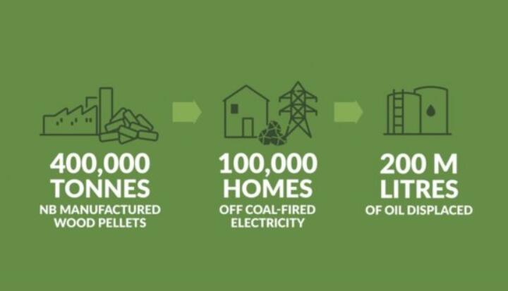全球48%的木屑顆粒消費(fèi)來自住宅和商業(yè)建筑。從2020年到2021年，歐洲家庭生物質(zhì)消費(fèi)量增長了18%，商業(yè)應(yīng)用增長了12.5%。