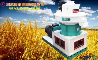 中國創(chuàng)新提速，綠色經(jīng)濟之離心高效環(huán)模顆粒機