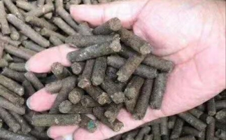 水果渣越來越受歡迎，因?yàn)樗某霈F(xiàn)—生物質(zhì)顆粒機(jī)設(shè)備