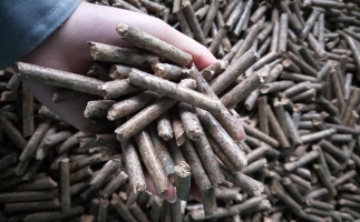 鋸末顆粒機(jī)顆粒，一種快速增長的能源載體