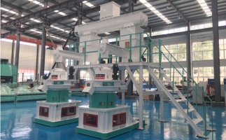 木屑顆粒機(jī)多少錢一臺(tái)?建顆粒廠大約多少錢？
