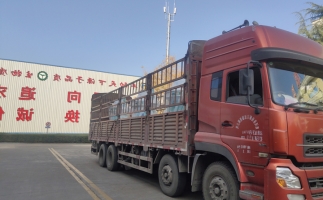 忙碌的五月，忙碌的發(fā)貨，金格瑞顆粒機(jī)生產(chǎn)線發(fā)往全國(guó)各地