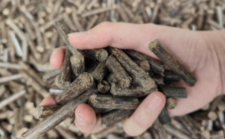 煤炭熱值那么高，為什么還要燒鋸末顆粒機(jī)的生物質(zhì)顆粒燃料？