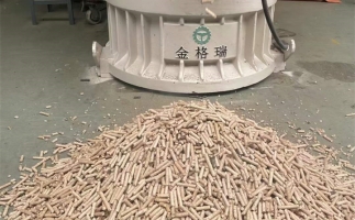 木屑顆粒機(jī)加工環(huán)保燃料顆粒，用綠色昭示未來