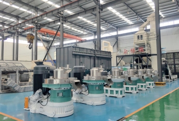 木屑顆粒機(jī)節(jié)能減排效果評(píng)估